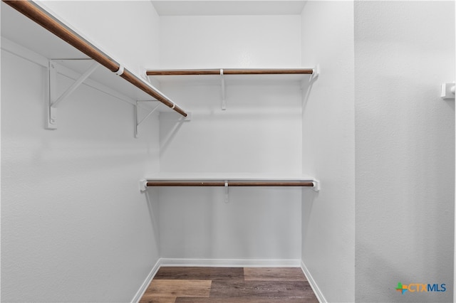 spacious closet featuring dark wood-type flooring