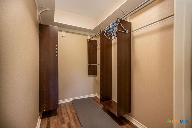 196 Garza Rd, Port Lavaca, TX 77979 - spacious closet featuring wood finished floors