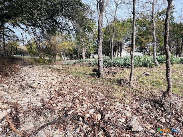 2009 Chalk Mill Xing, Salado, TX 76571 - photo 6