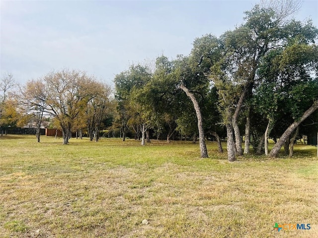 2009 Chalk Mill Xing, Salado, TX 76571 - photo 2