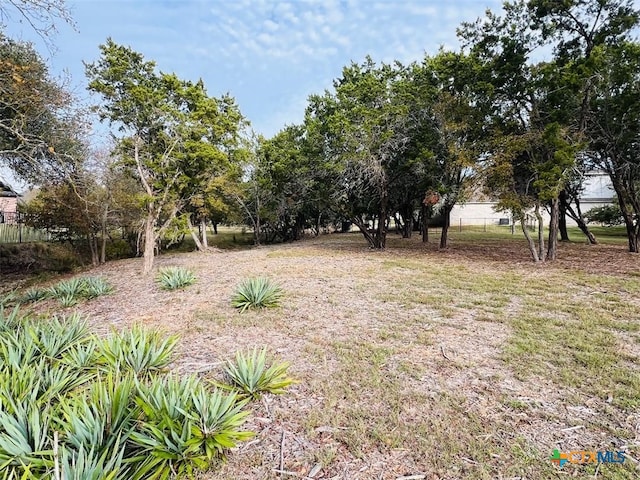 2009 Chalk Mill Xing, Salado, TX 76571 - photo 5