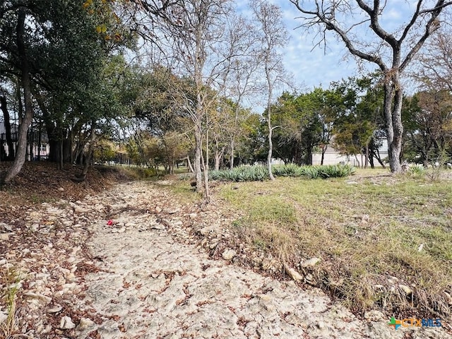 2009 Chalk Mill Xing, Salado, TX 76571 - photo 7