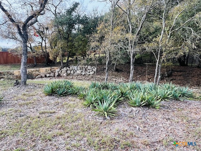 2009 Chalk Mill Xing, Salado, TX 76571 - photo 8