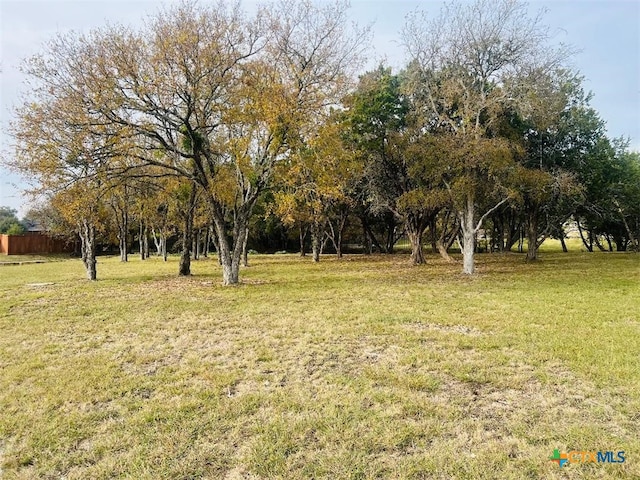 2009 Chalk Mill Xing, Salado, TX 76571 - photo 4