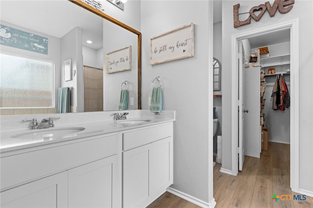 421 Perfect World Loop, Jarrell, TX 76537 - bathroom with wood finished floors, double vanity, a walk in closet, and baseboards