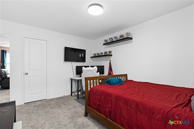421 Perfect World Loop, Jarrell, TX 76537 - view of carpeted bedroom