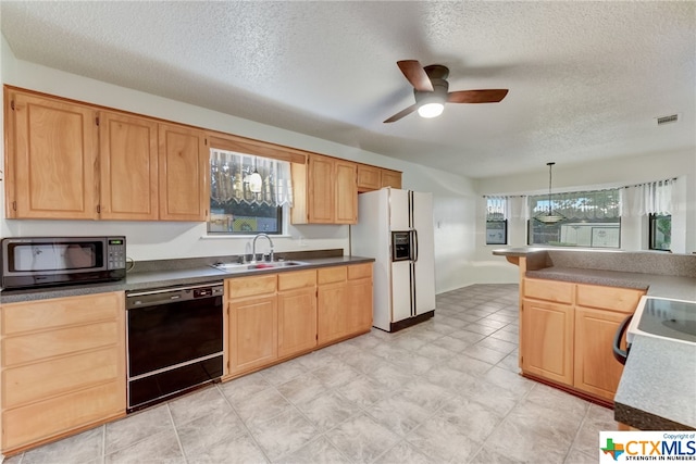 kitchen with a textured ceiling, black dishwasher, white fridge with ice dispenser, sink, and ceiling fan