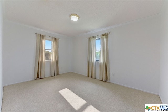 carpeted empty room featuring ornamental molding