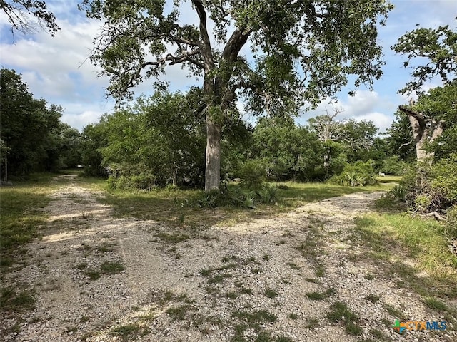 4680 County Road 319th Rd, Louise, TX 77455 - photo 22