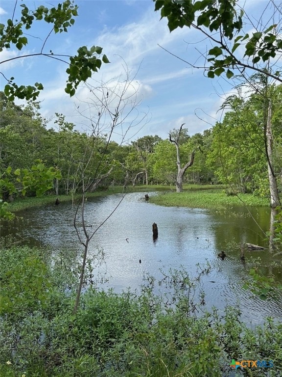 4680 County Road 319th Rd, Louise, TX 77455 - photo 21