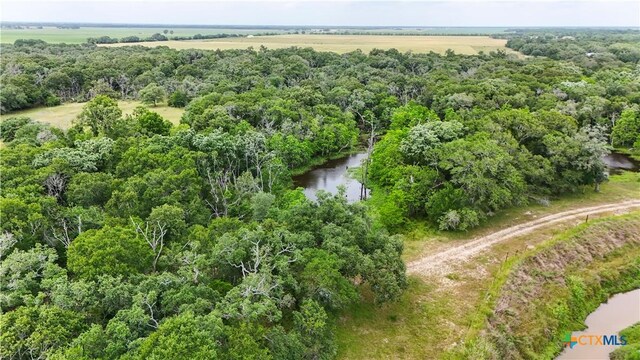 4680 County Road 319th Rd, Louise, TX 77455 - photo 13