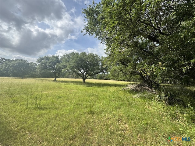 4680 County Road 319th Rd, Louise, TX 77455 - photo 45