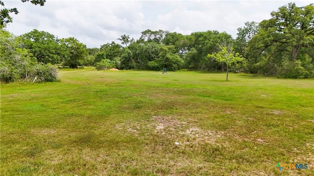 4680 County Road 319th Rd, Louise, TX 77455 - photo 9
