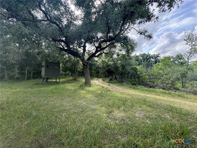 4680 County Road 319th Rd, Louise, TX 77455 - photo 47
