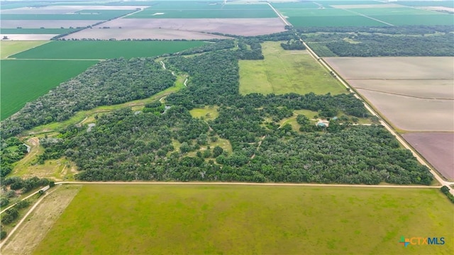 4680 County Road 319th Rd, Louise, TX 77455 - photo 4