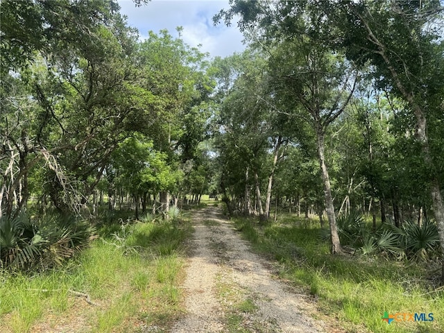 4680 County Road 319th Rd, Louise, TX 77455 - photo 46