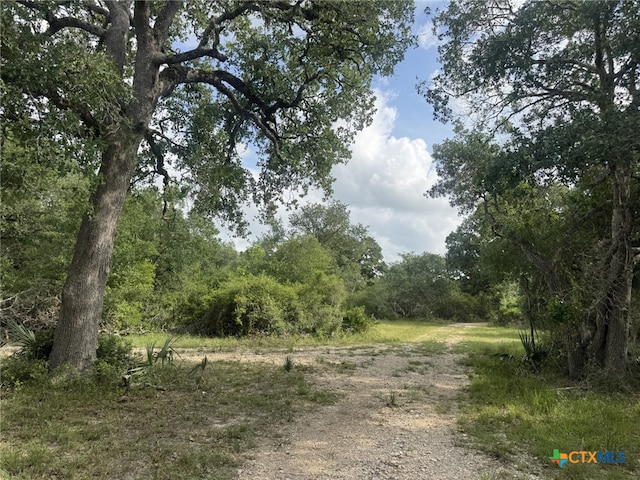 4680 County Road 319th Rd, Louise, TX 77455 - photo 48