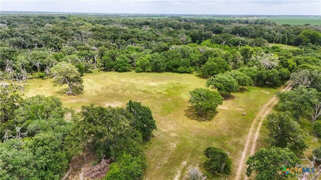 4680 County Road 319th Rd, Louise, TX 77455 - photo 11