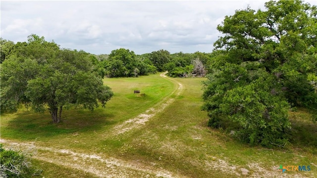 4680 County Road 319th Rd, Louise, TX 77455 - photo 10