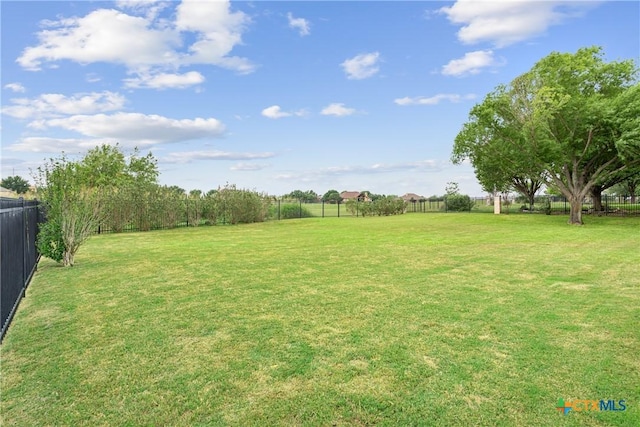1332 Walker Cir, Salado, TX 76571 - view of yard