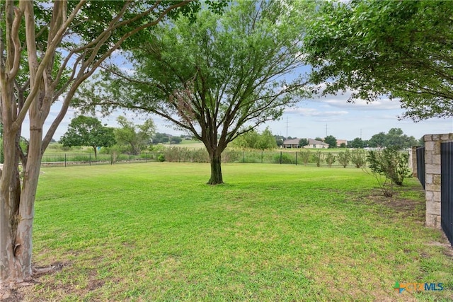 1332 Walker Cir, Salado, TX 76571 - view of yard