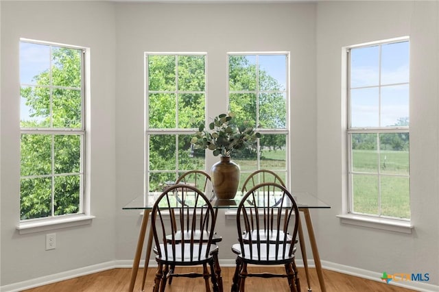 2002 E Young Ave, Temple, TX 76501 - dining space with baseboards, wood finished floors, and plenty of natural light
