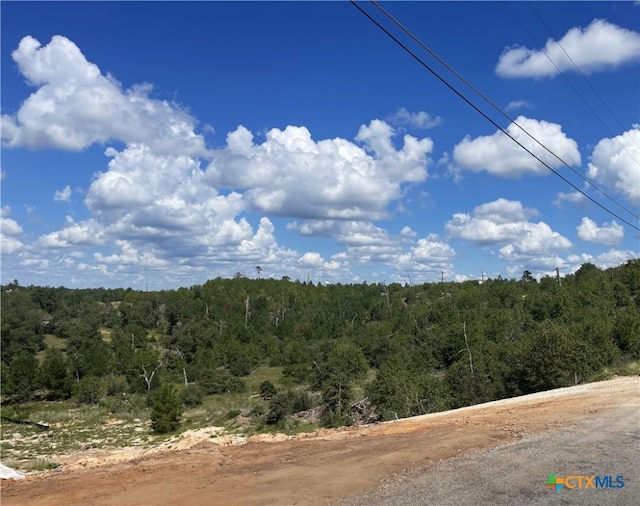 LOT12 River Forest Dr, Bastrop TX, 78602 land for sale