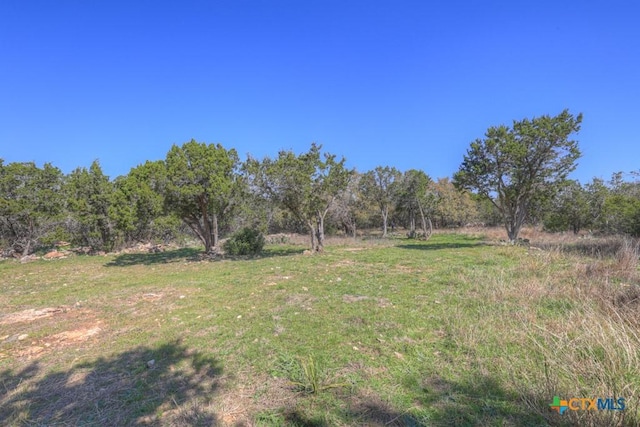 315 Hilltop Rdg, New Braunfels, TX 78132 - view of yard