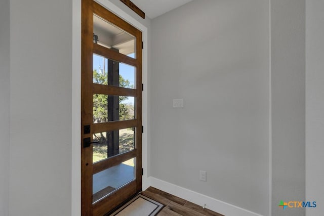 315 Hilltop Rdg, New Braunfels, TX 78132 - entryway with baseboards, dark wood-style floors, and a wealth of natural light