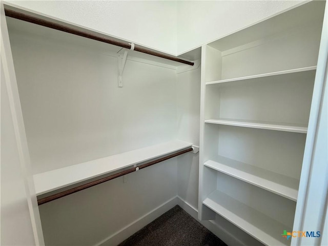 5101 Sunflower Ln, Temple, TX 76502 - spacious closet featuring dark carpet