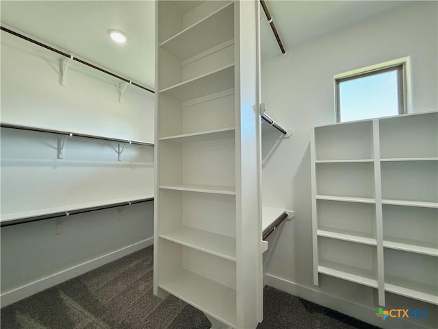 5101 Sunflower Ln, Temple, TX 76502 - spacious closet with dark carpet