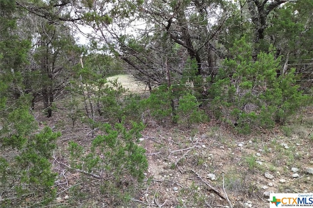 0 Marlys Ave, Canyon Lake, TX 78133