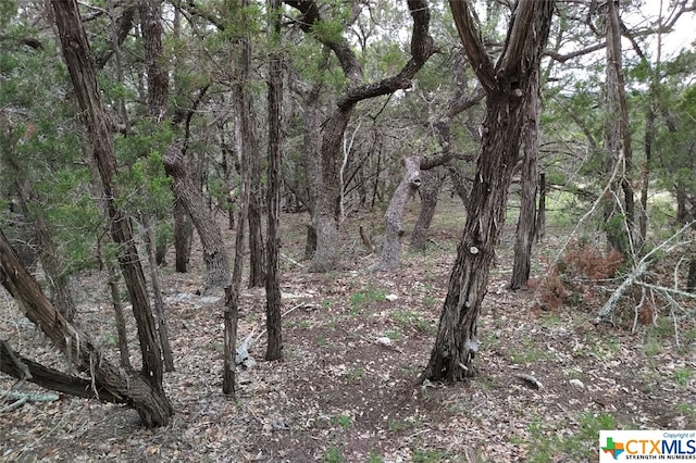 0 Marlys Ave, Canyon Lake, TX 78133