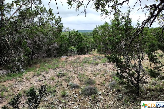 0 Marlys Ave, Canyon Lake, TX 78133