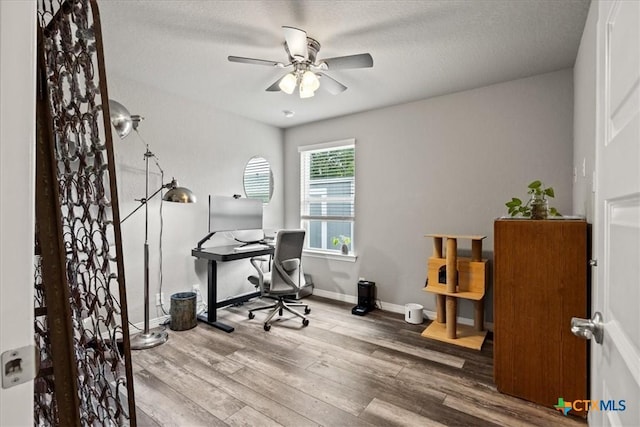 458 Seele St, New Braunfels, TX 78130 - office featuring ceiling fan, wood finished floors, baseboards, and a textured ceiling