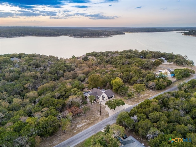 birds eye view of property featuring a forest view and a water view