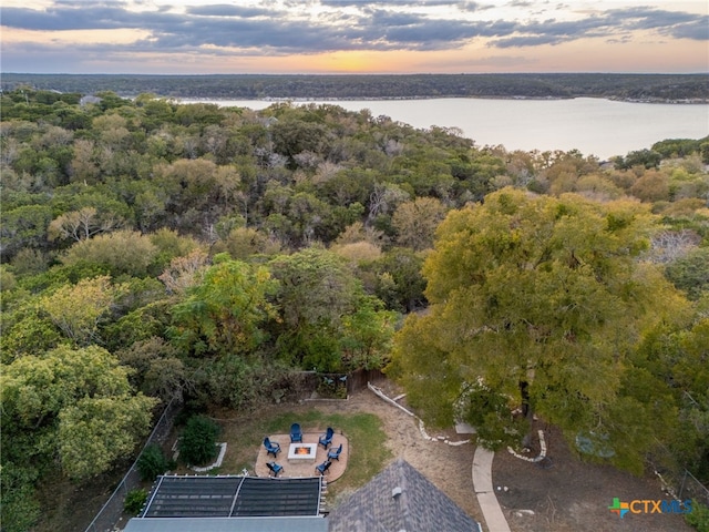 aerial view with a water view and a wooded view