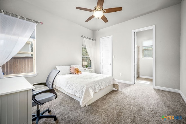 bedroom featuring baseboards, multiple windows, and carpet flooring