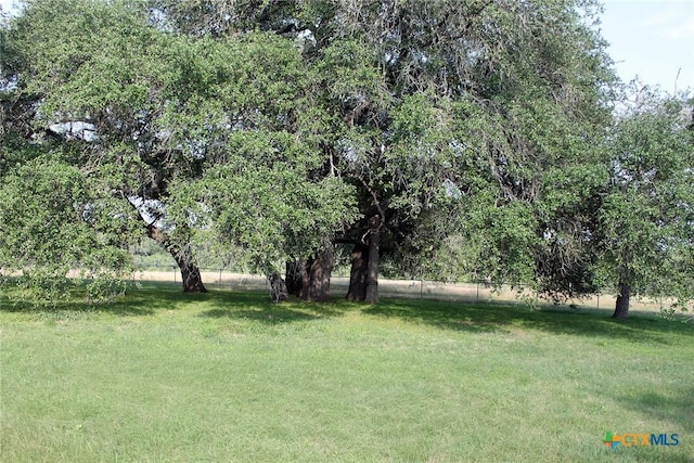 854 Pettytown Rd, Red Rock, TX 78662 - view of yard