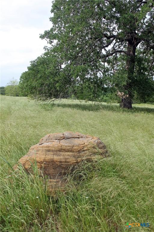 854 Pettytown Rd, Red Rock, TX 78662 - view of yard