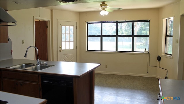 kitchen with a wealth of natural light, ceiling fan, sink, and dishwasher