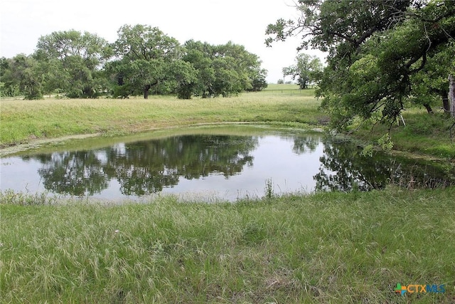 854 Pettytown Rd, Red Rock, TX 78662 - water view