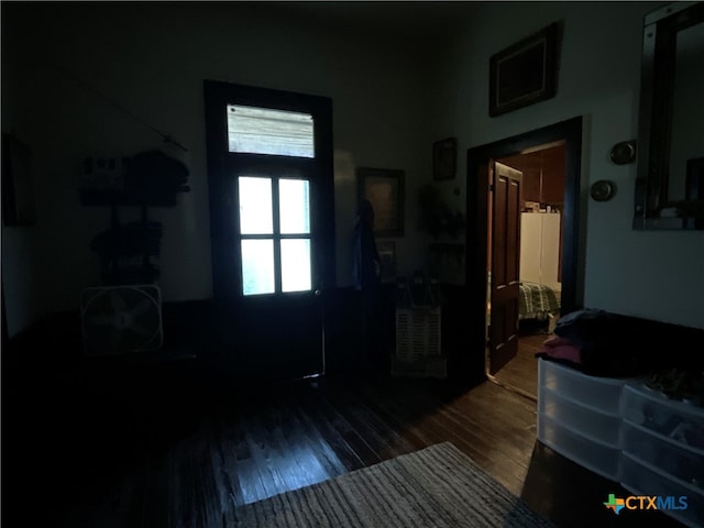 entryway featuring dark wood-type flooring