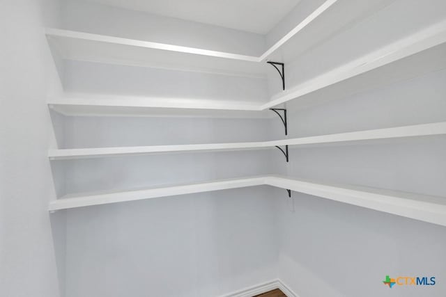 5073 Cedarside, San Marcos, TX 78666 - view of pantry