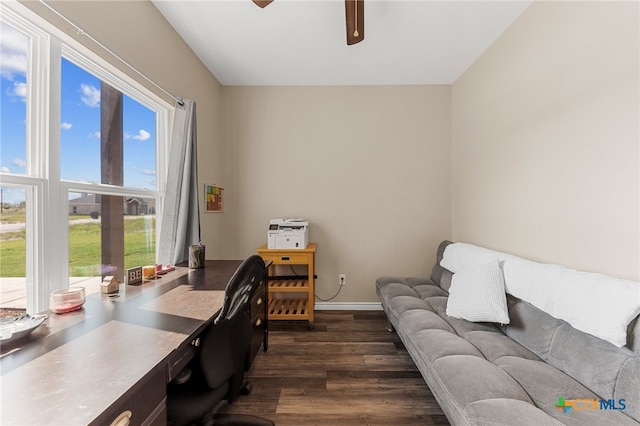 office featuring a wealth of natural light, ceiling fan, and dark hardwood / wood-style flooring