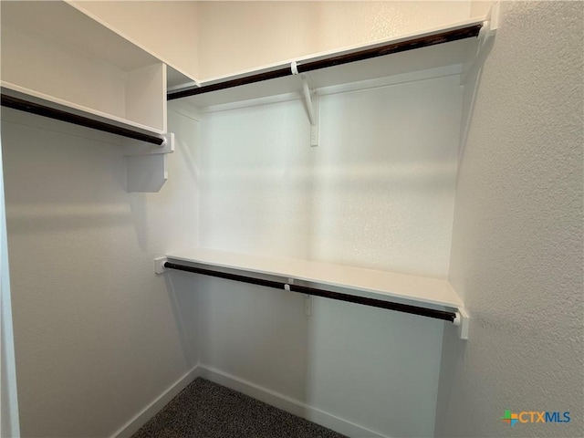 walk in closet featuring carpet flooring