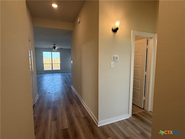 hall featuring dark hardwood / wood-style flooring