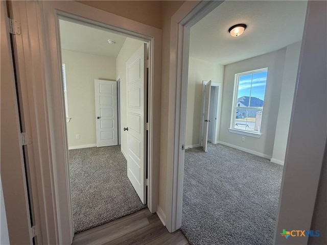 hallway with carpet