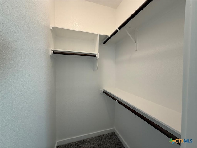 spacious closet featuring carpet floors