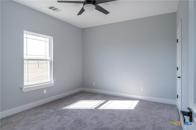 1000 Black Ankle Rd, Lockhart, TX 78644 - photo 24